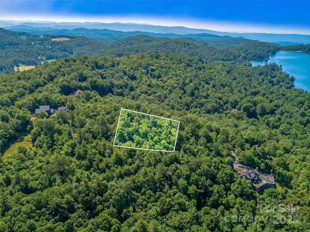 TBD Quartz Mine Rd, Lake Toxaway, NC 28747 - photo 4