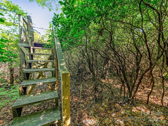 TBD Quartz Mine Rd, Lake Toxaway, NC 28747 - photo 5