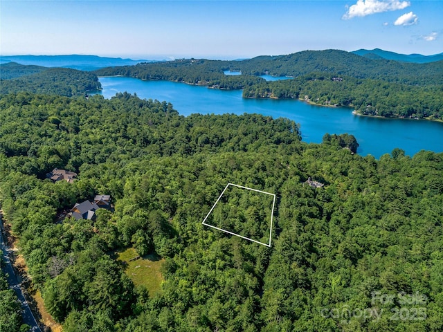 TBD Quartz Mine Rd, Lake Toxaway, NC 28747 - photo 6