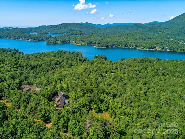 TBD Quartz Mine Rd, Lake Toxaway, NC 28747 - photo 8