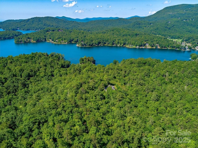 TBD Quartz Mine Rd, Lake Toxaway, NC 28747 - photo 10
