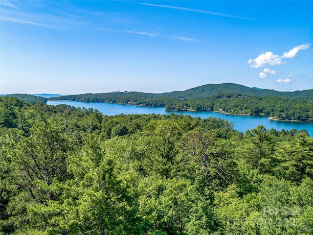 TBD Quartz Mine Rd, Lake Toxaway, NC 28747 - photo 11