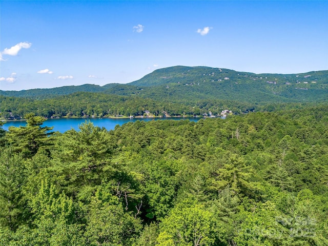 TBD Quartz Mine Rd, Lake Toxaway, NC 28747 - photo 12