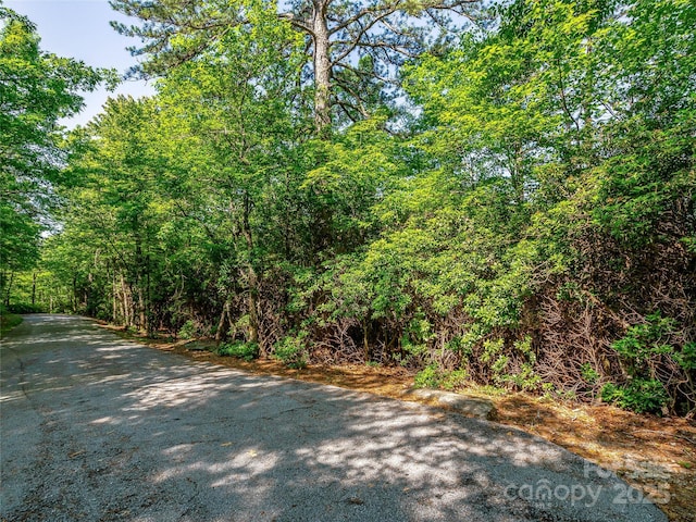 TBD Quartz Mine Rd, Lake Toxaway, NC 28747 - photo 13