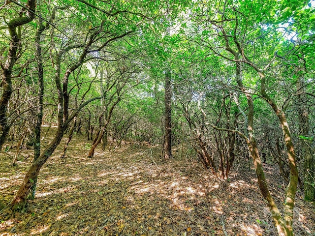 TBD Quartz Mine Rd, Lake Toxaway, NC 28747 - photo 14