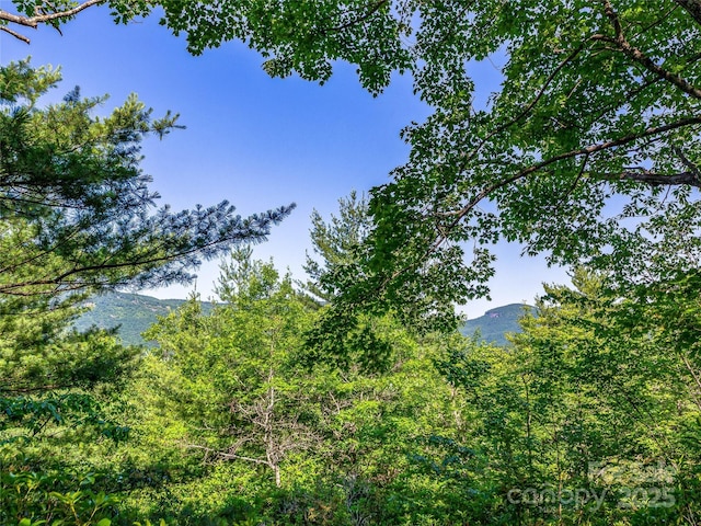 TBD Quartz Mine Rd, Lake Toxaway, NC 28747 - photo 15