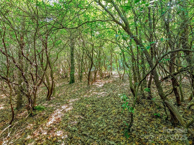 TBD Quartz Mine Rd, Lake Toxaway, NC 28747 - photo 16