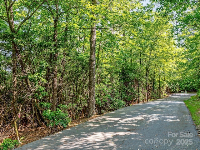 TBD Quartz Mine Rd, Lake Toxaway, NC 28747 - photo 17