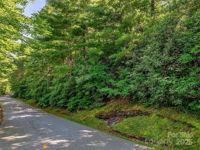 TBD Quartz Mine Rd, Lake Toxaway, NC 28747 - photo 18