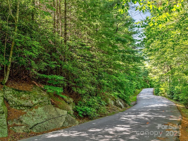 TBD Quartz Mine Rd, Lake Toxaway, NC 28747 - photo 19