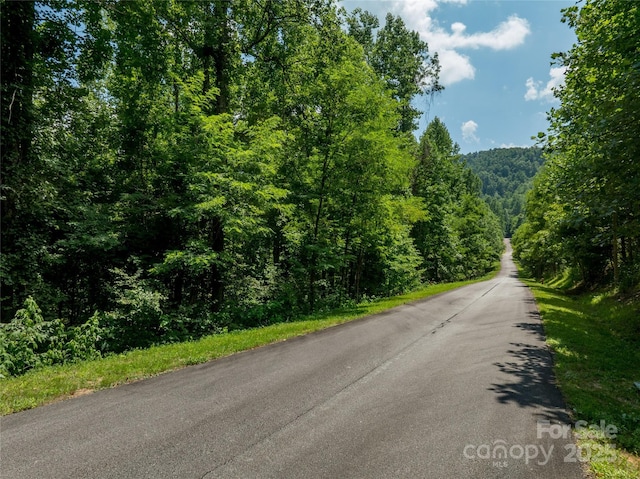LOT256 Haddington Dr W, Mill Spring, NC 28756 - photo 4