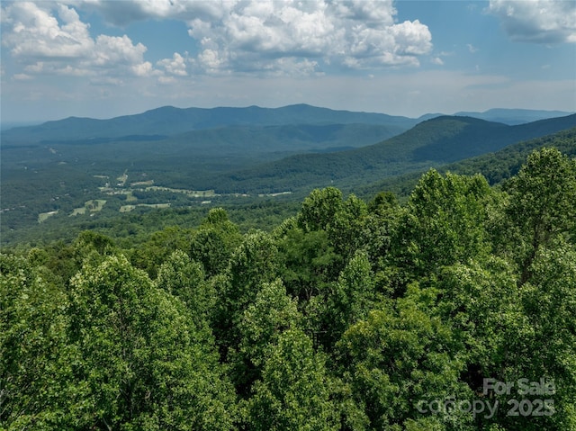 LOT256 Haddington Dr W, Mill Spring, NC 28756 - photo 5