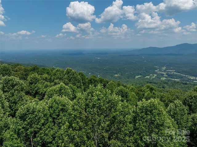 LOT256 Haddington Dr W, Mill Spring, NC 28756 - photo 6