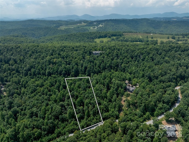 LOT256 Haddington Dr W, Mill Spring, NC 28756 - photo 7