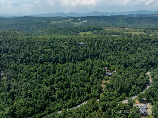 LOT256 Haddington Dr W, Mill Spring, NC 28756 - photo 8