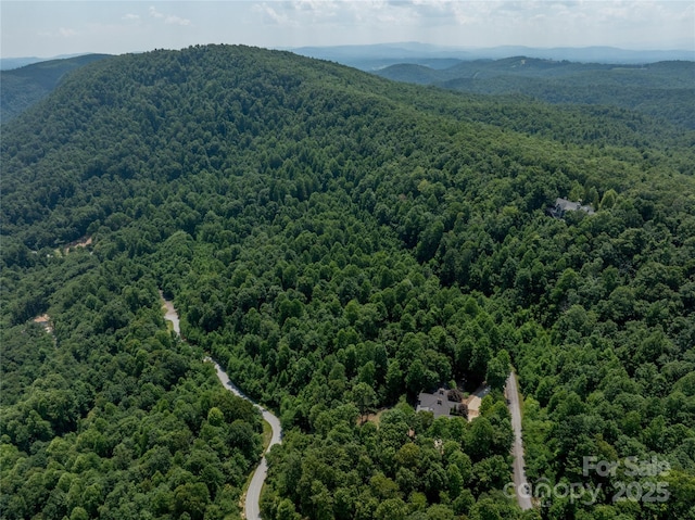 LOT256 Haddington Dr W, Mill Spring, NC 28756 - photo 9