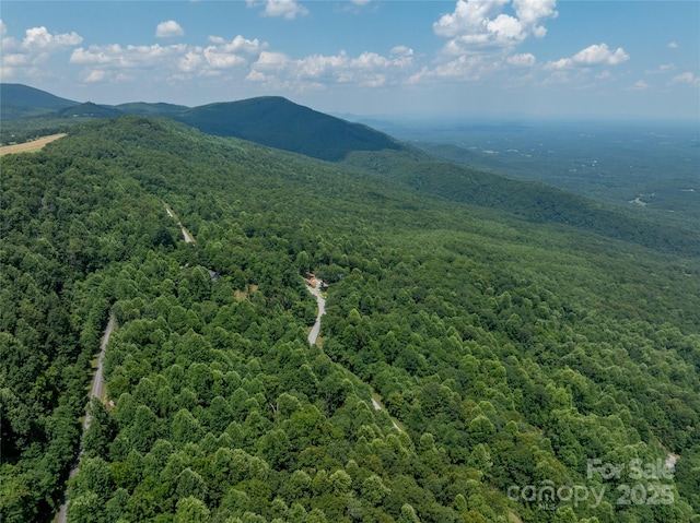 LOT256 Haddington Dr W, Mill Spring, NC 28756 - photo 10