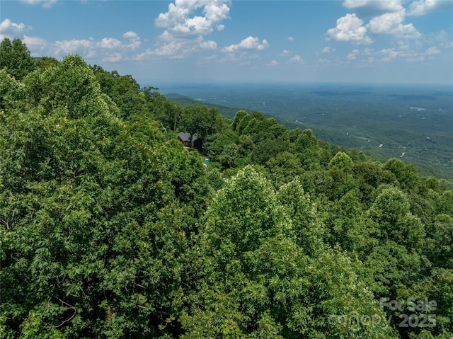 LOT256 Haddington Dr W, Mill Spring, NC 28756 - photo 12