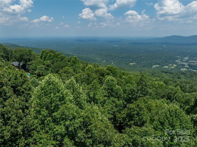 LOT256 Haddington Dr W, Mill Spring, NC 28756 - photo 13