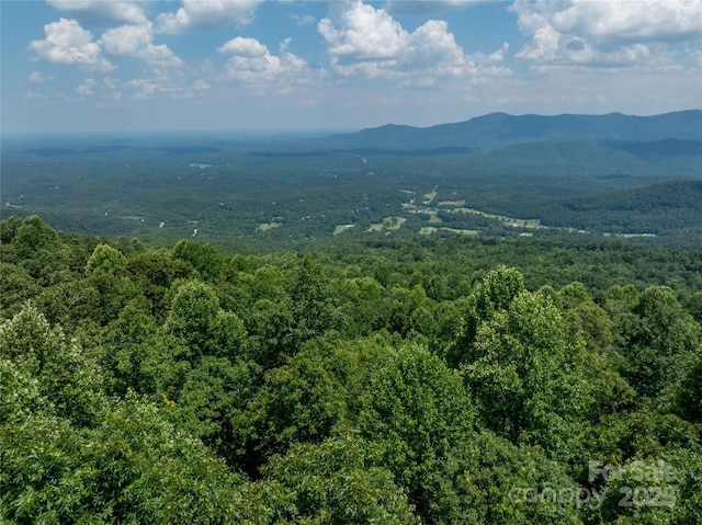 LOT256 Haddington Dr W, Mill Spring, NC 28756 - photo 14