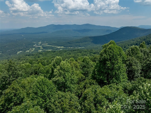 LOT256 Haddington Dr W, Mill Spring, NC 28756 - photo 15