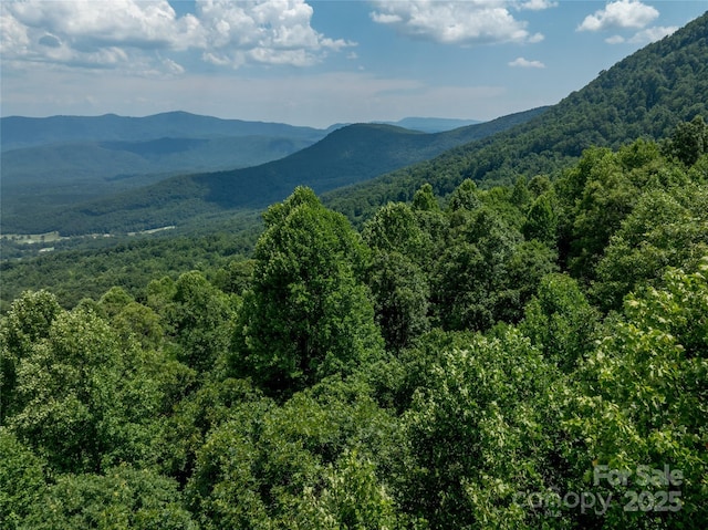 LOT256 Haddington Dr W, Mill Spring, NC 28756 - photo 16