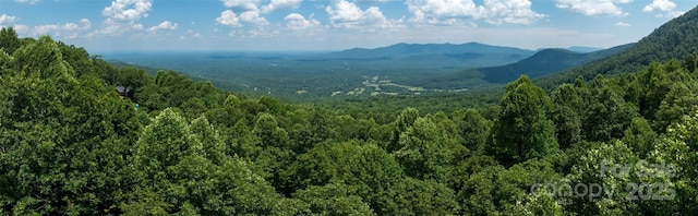 LOT256 Haddington Dr W, Mill Spring, NC 28756 - photo 17
