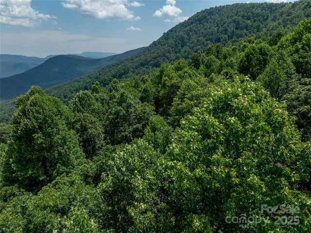 LOT256 Haddington Dr W, Mill Spring, NC 28756 - photo 19