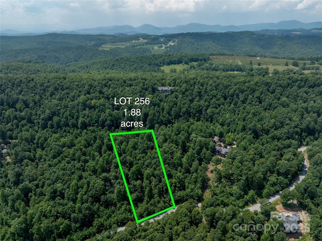 LOT256 Haddington Dr W, Mill Spring, NC 28756 - photo 2