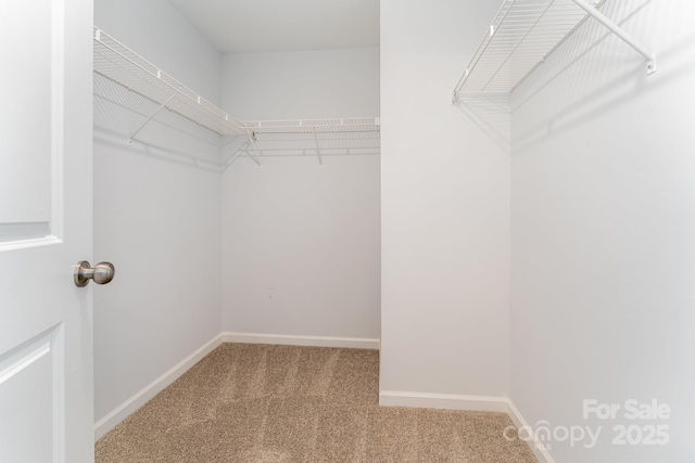 3031 Breslin St, Charlotte, NC 28214 - photo 24