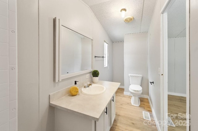 1354 Springwood Ln, Rock Hill, SC 29730 - bathroom featuring wood finished floors, vanity, and a textured ceiling