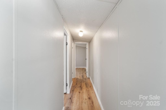 1354 Springwood Ln, Rock Hill, SC 29730 - hallway featuring light wood-style floors and a textured ceiling