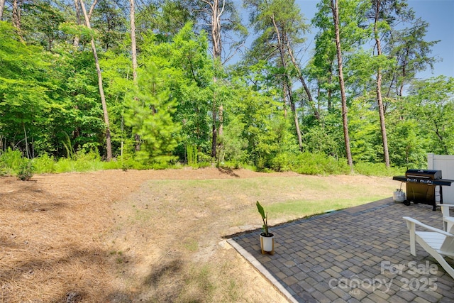 1115 Streamside Ln, York, SC 29745 - photo 32