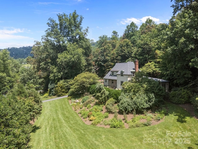 12 Rice Branch Rd, Asheville, NC 28804 - photo 7