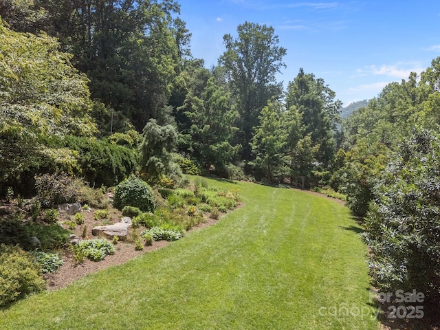 12 Rice Branch Rd, Asheville, NC 28804 - photo 8