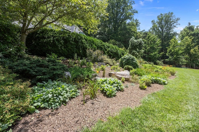 12 Rice Branch Rd, Asheville, NC 28804 - photo 9
