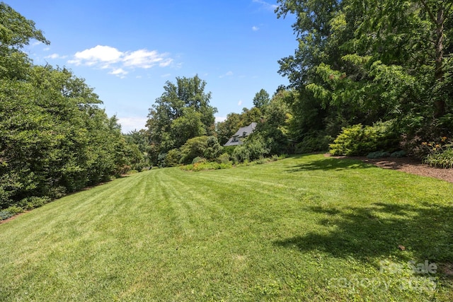 12 Rice Branch Rd, Asheville, NC 28804 - photo 10