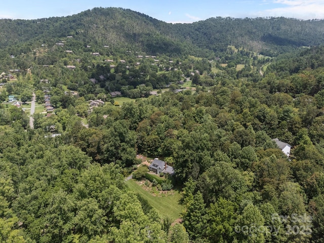 12 Rice Branch Rd, Asheville, NC 28804 - photo 19