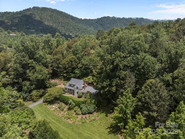 12 Rice Branch Rd, Asheville, NC 28804 - photo 20