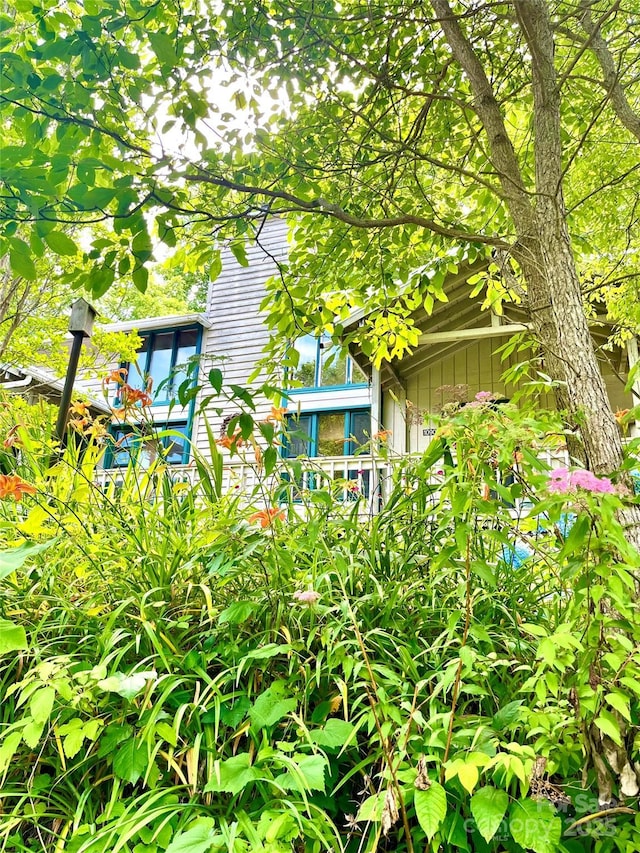 1090 Woolyshot Branch Rd, Hot Springs, NC 28743 - view of home's exterior
