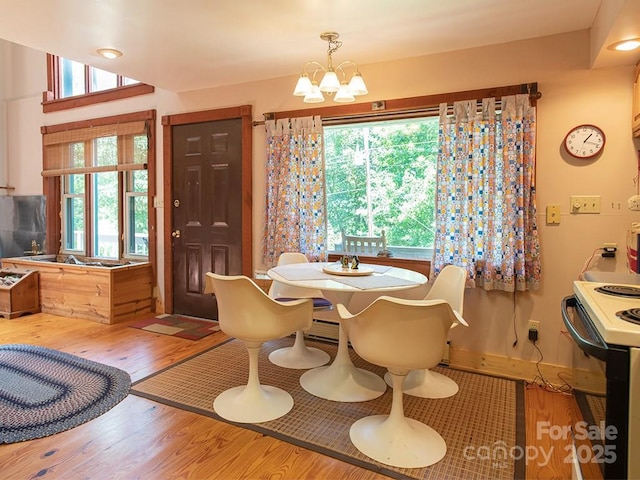 1090 Woolyshot Branch Rd, Hot Springs, NC 28743 - dining area with wood finished floors and a chandelier