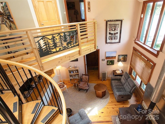 1090 Woolyshot Branch Rd, Hot Springs, NC 28743 - living room with wood finished floors, healthy amount of natural light, and radiator heating unit