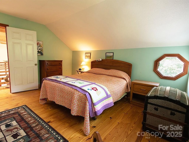 1090 Woolyshot Branch Rd, Hot Springs, NC 28743 - bedroom with light wood-style floors and vaulted ceiling