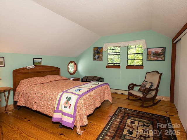 1090 Woolyshot Branch Rd, Hot Springs, NC 28743 - bedroom with wood finished floors, vaulted ceiling, baseboard heating, and a closet
