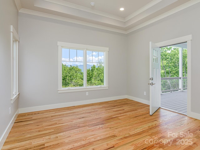 62 Sharp Rd W, Black Mountain, NC 28711 - spare room with crown molding, light wood-type flooring, a tray ceiling, and recessed lighting