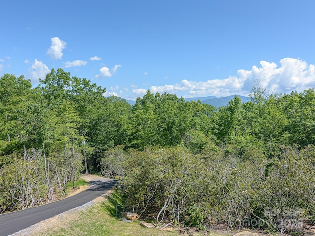 62 Sharp Rd W, Black Mountain, NC 28711 - view of mountain backdrop with a heavily wooded area