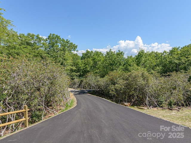 62 Sharp Rd W, Black Mountain, NC 28711 - view of asphalt road