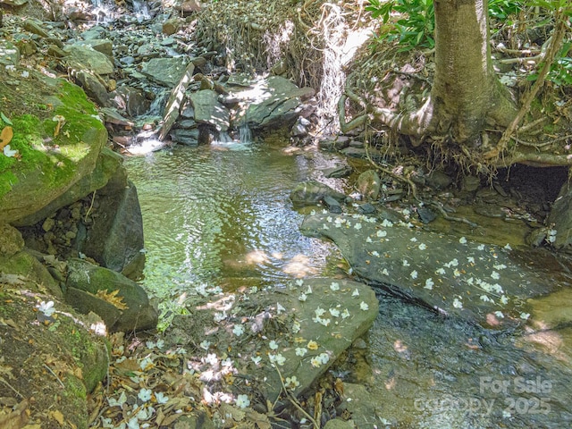 62 Sharp Rd W, Black Mountain, NC 28711 - water view