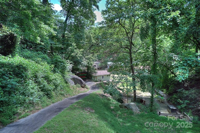178 Anglers Way, Lake Lure, NC 28746 - view of yard with a forest view