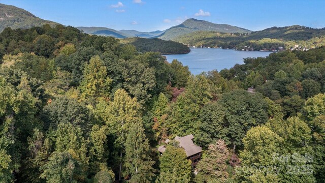 178 Anglers Way, Lake Lure, NC 28746 - mountain view featuring a forest and a large body of water